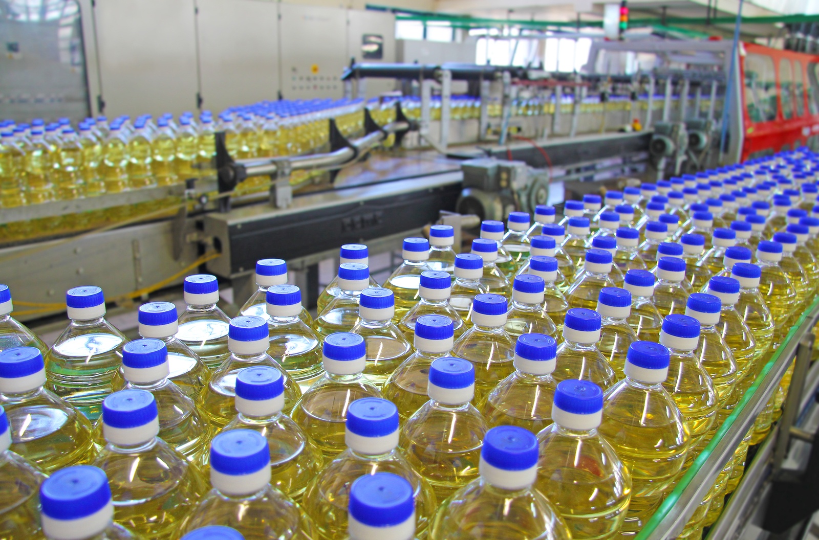 Bottles of oil on production line