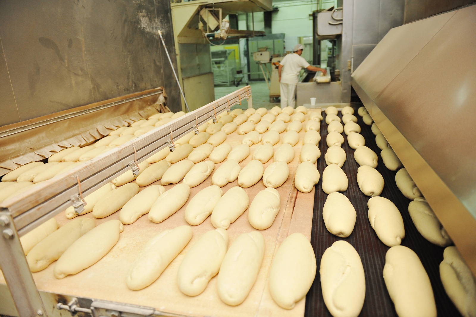 bread factory production line