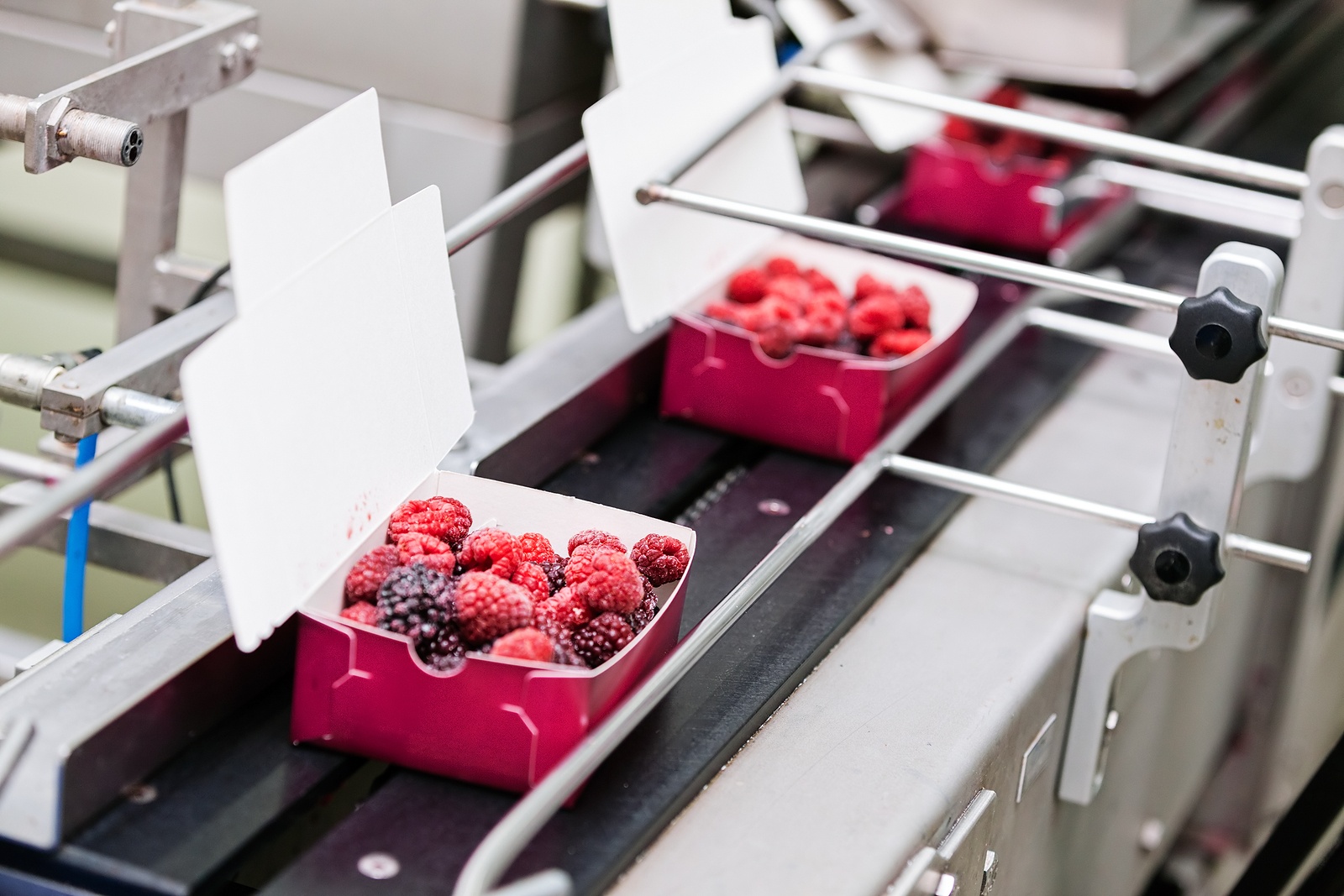 frozen raspberries being packaged