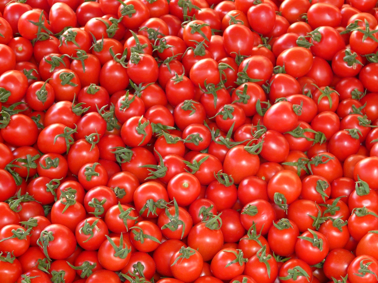 tomatoes-vegetables-red-delicious-68133