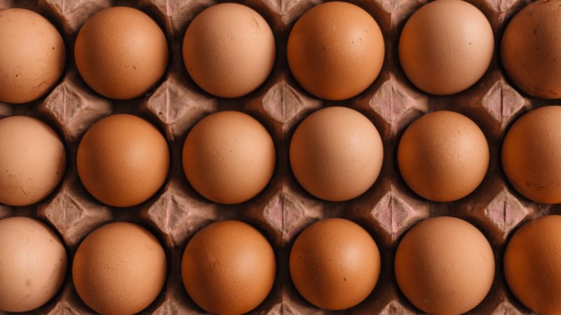 carton of brown eggs