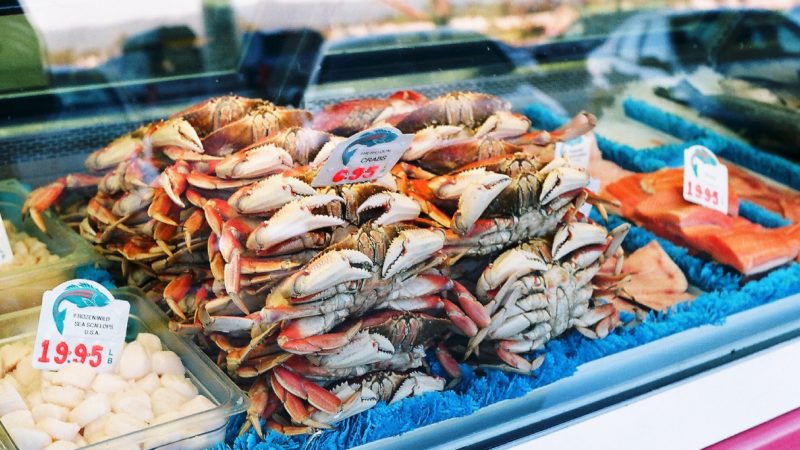 seafood_case-800x450